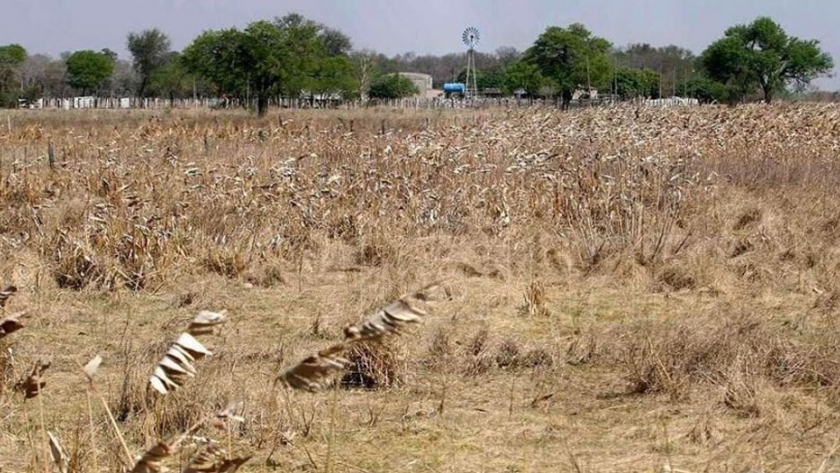 La Provincia dio a conocer del Decreto de Desastre y Emergencia Agropecuaria