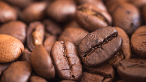 El arte detrás de la recolecta del café: Un vistazo al proceso