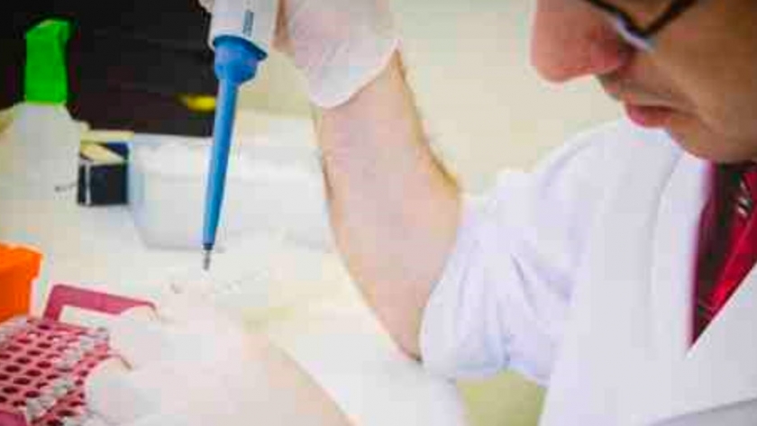 Estudian cómo mejorar la calidad nutricional del Trigo