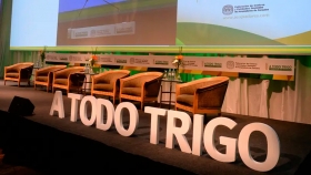 A Todo Trigo: expertos dictan las claves para la nueva campaña