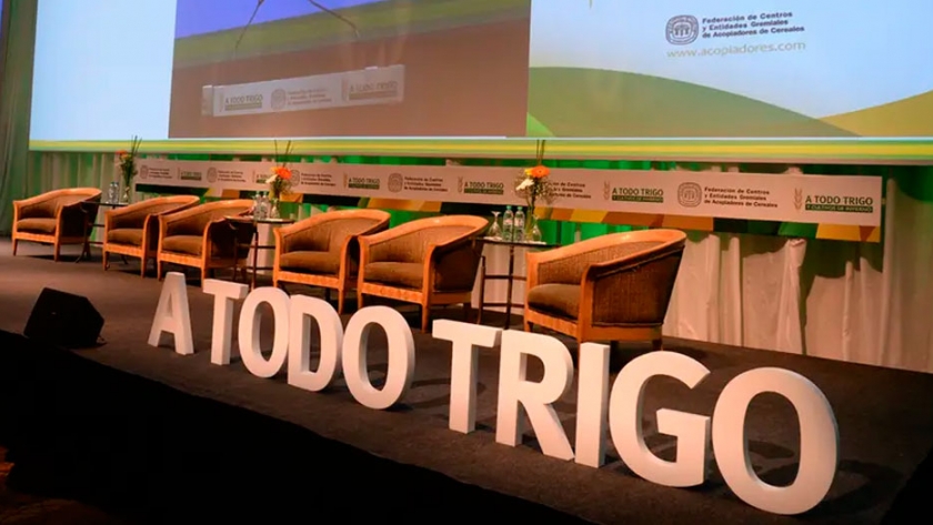 A Todo Trigo: expertos dictan las claves para la nueva campaña