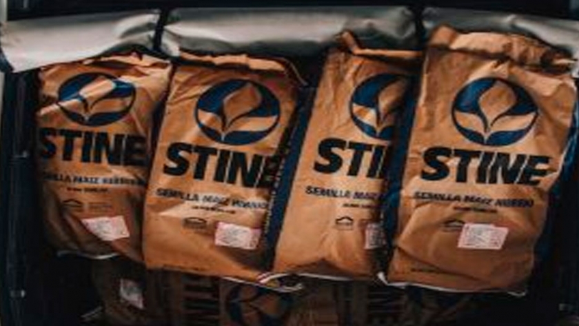 Stine Semillas lanza su negocio de soja en Argentina