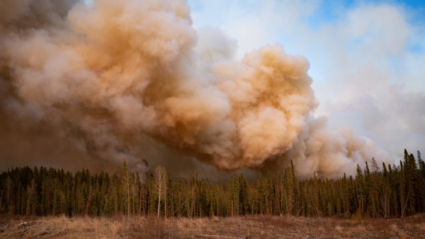 El aumento de los incendios forestales extremos alimenta las emisiones globales, similar a las de la quema de combustibles fósiles según científicos de China