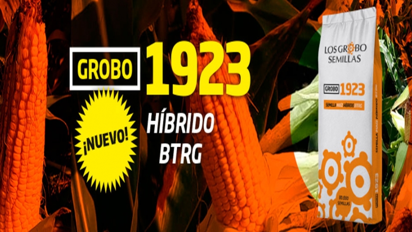 Grupo Los Grobo presenta su primer maíz de marca propia