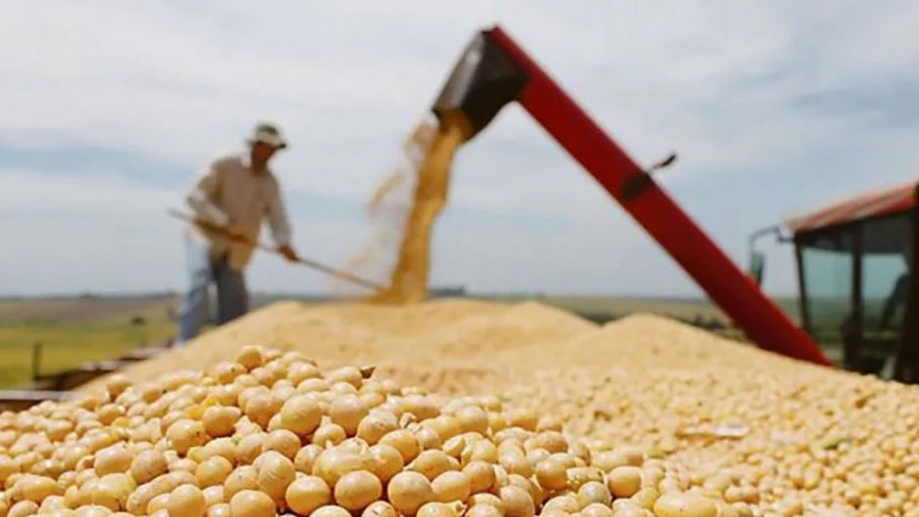Inscripción en el nuevo sistema de autogestión para la exportación de granos a China