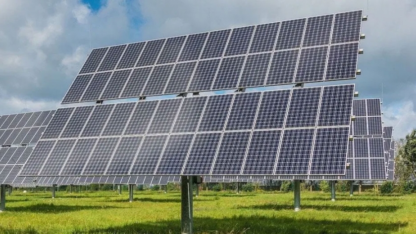¿Podría la agricultura fotovoltaica ser la próxima gran tendencia del mercado solar de África?