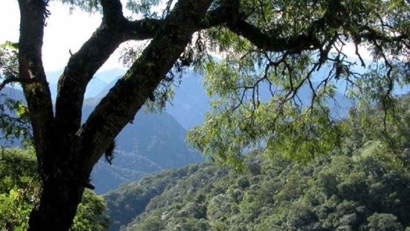 Construirán dos pozos de agua en el marco del Proyecto "Bosques Nativos y Comunidad"