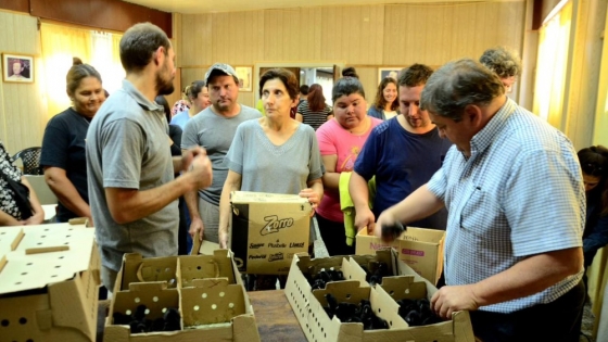 Entregaron ponedoras de la Granja Piloto a familias y pequeños productores larroudenses