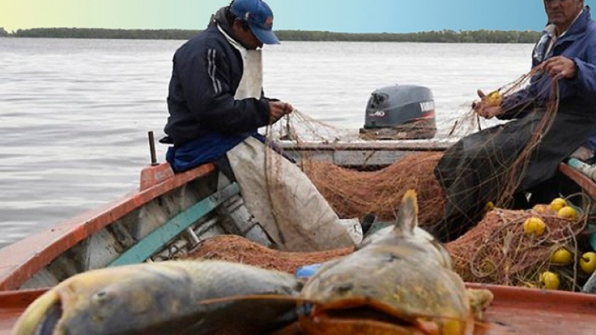 Frigoríficos de Santa Fe pagan menos de la mitad a pescadores por las bajas exportaciones