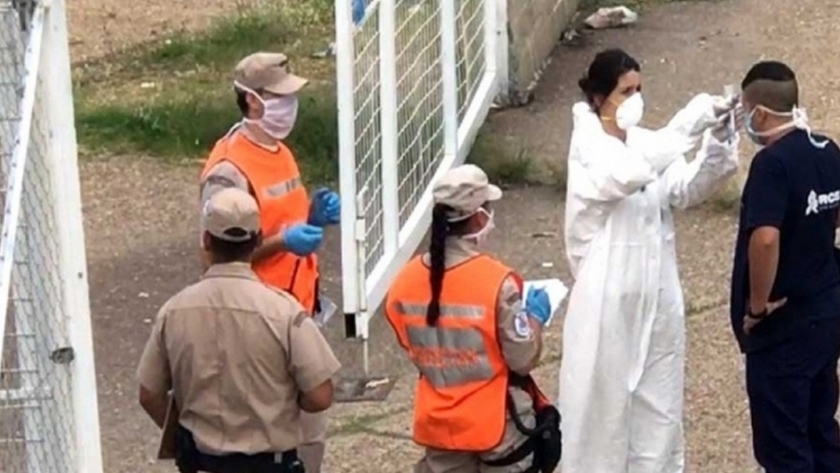 En un marco de estrictas normas sanitarias comenzó la carga de madera en el puerto de Concepción del Uruguay