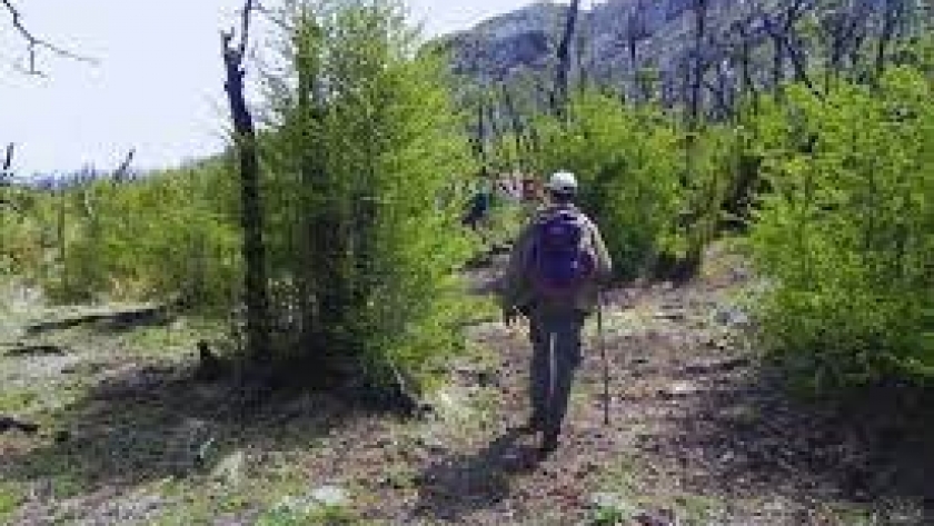 Las especies nativas protegen la cordillera argentina