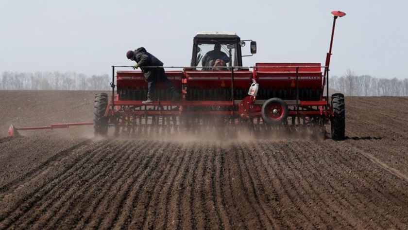 Clima seco complica la siembra de cereales de invierno en Rusia y Ucrania