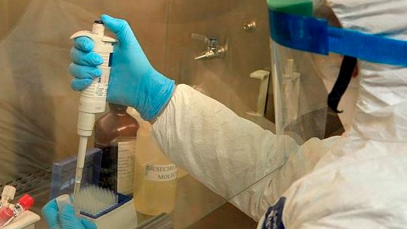 Investigadores argentinos buscan probar el uso de ivermectina en pacientes con COVID-19