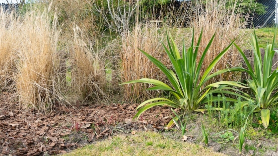 Cómo salvar tu jardín tras las heladas récord: técnicas innovadoras y consejos clave