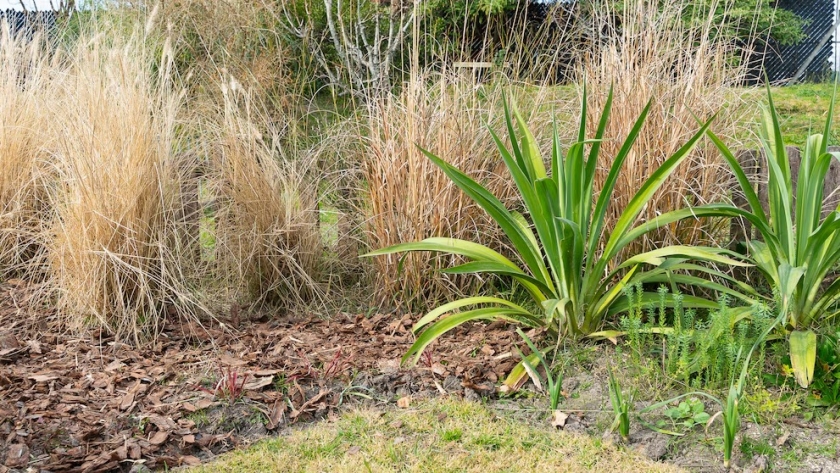 Cómo salvar tu jardín tras las heladas récord: técnicas innovadoras y consejos clave