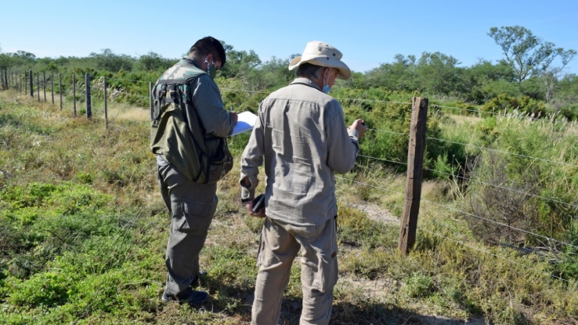 Inspección a proyectos de Bosques Nativos