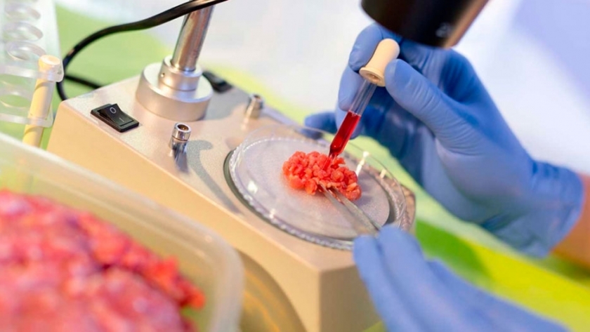 Los nuevos alimentos proteicos que irrumpen en la industria alimenticia