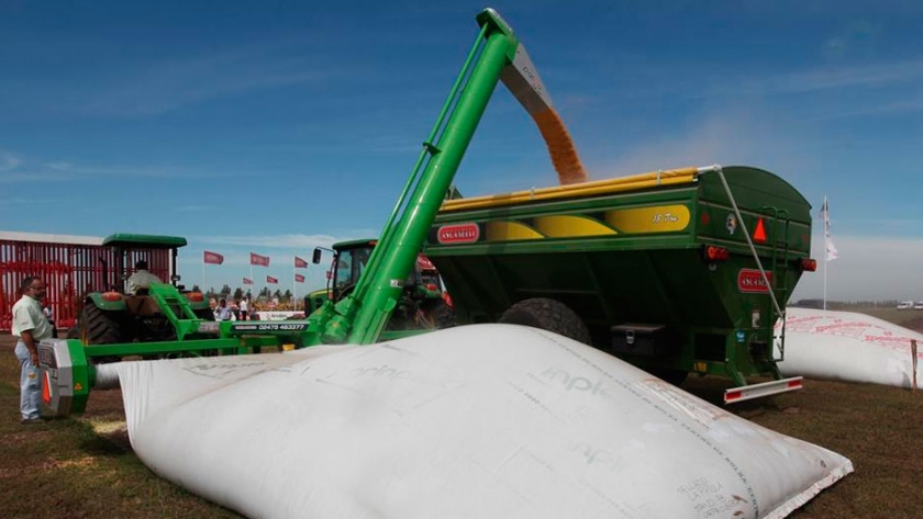 Claves del silaje de grano húmedo