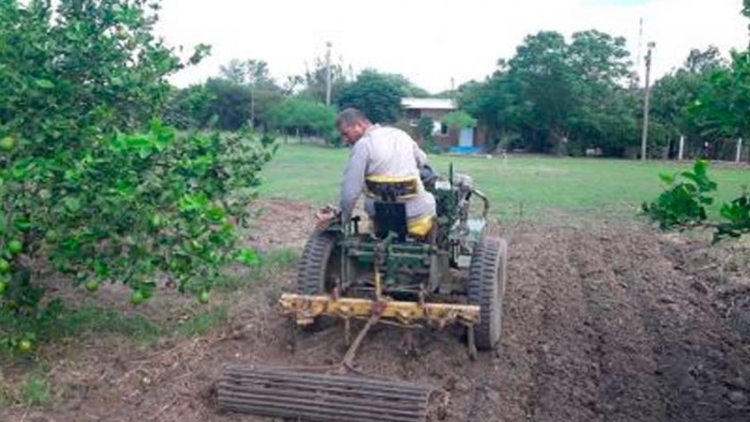 Frutas y verduras en el Chaco, el objetivo que los productores están dispuestos a alcanzar