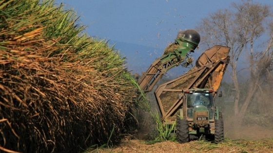 <Tucumán apunta a aumentar la exportación de azúcar
