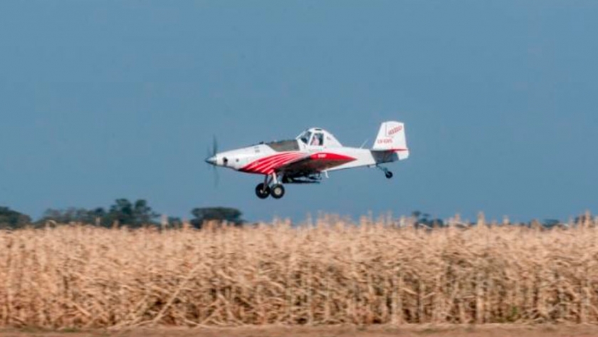 Suelos más cubiertos: estiman que la siembra aérea creció 40%