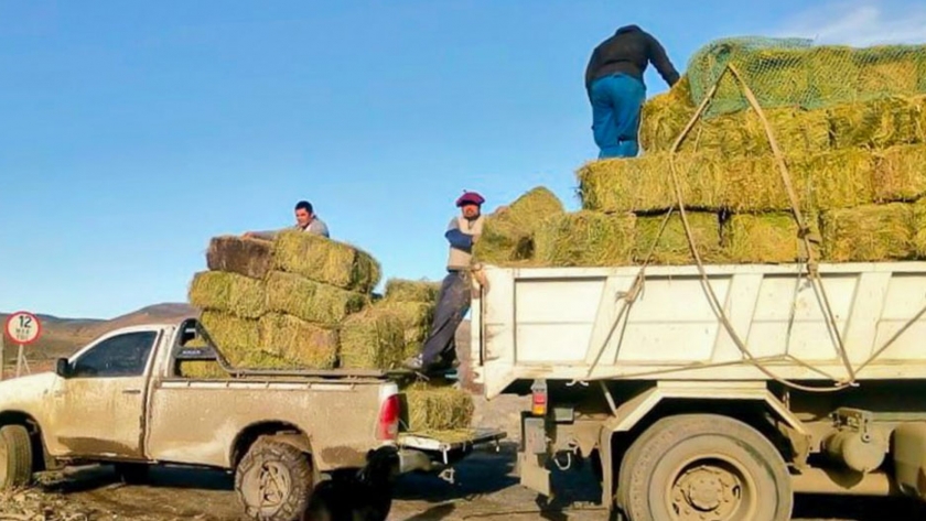 Plan forraje para asistir a crianceros del interior neuquino