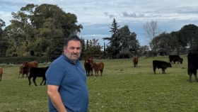 De campos difíciles al Gran Campeón Macho Angus en Palermo