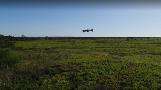 Ambiente incorpora drones en parques nacionales para la detección temprana de incendios forestales
