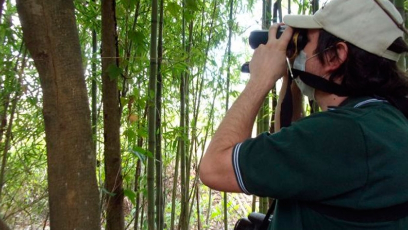 Comenzaron un relevamiento de flora y fauna en el Centro de Interpretación de Humedales de Tigre