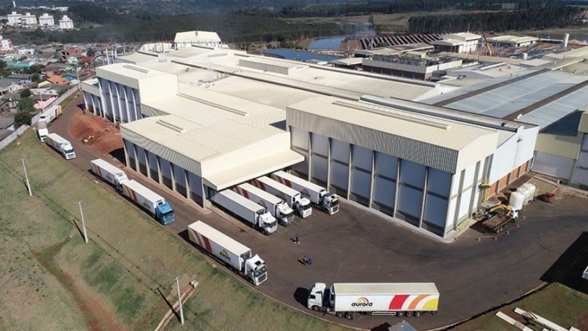 Apetito sin fin: China habilitó a siete frigoríficos porcinos brasileños para la exportación de menudencias de cerdos
