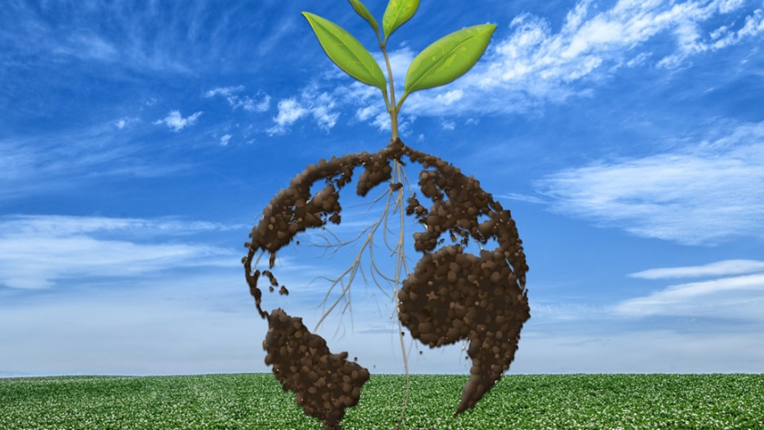 El 7 de julio se celebra el Día Nacional de la Conservación del Suelo