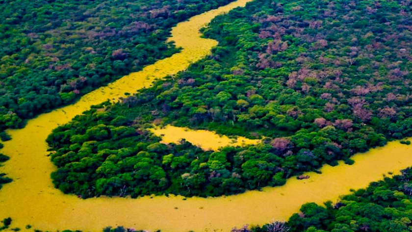 Quieren instaurar una materia en pos del cuidado del medio ambiente