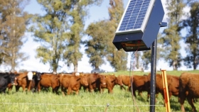 Economía provee energía solar a pequeños productores de todo el país