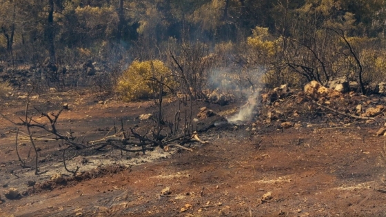 “El cambio climático hizo que la práctica del rozado con uso del fuego genere cada vez más peligro y menos beneficios para el productor”