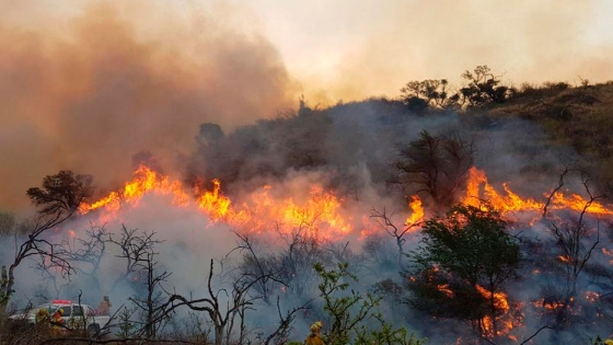 <Impulsan proyecto para elevar hasta 25 años la pena por causar incendios forestales