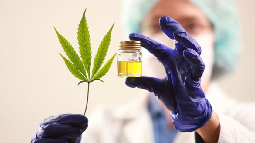 Cannabis medicinal: se presentó el proyecto regional al ministro Salvarezza