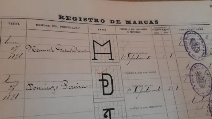 Neuquén: Marcas y señales, qué hay detrás de los 100 años de historia