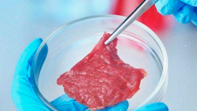 La carne cultivada en laboratorio llega al público por primera vez