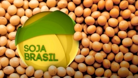 Brasil gana en soja