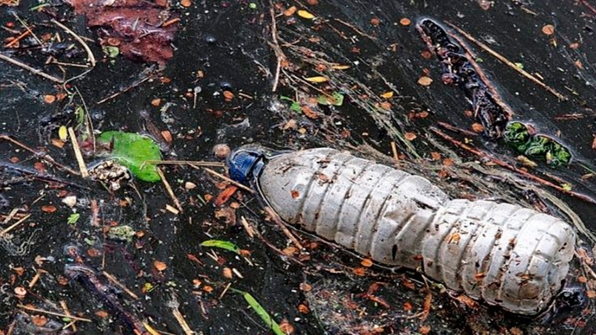 Datos sobre la contaminación que causa el plástico