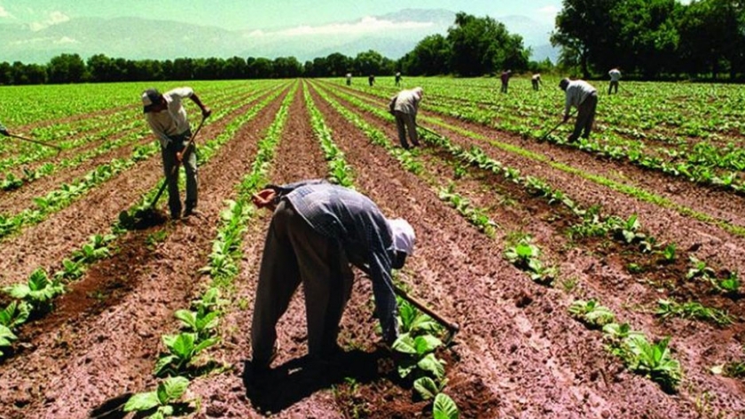 Se necesitan US$ 812 millones en capital de trabajo para mantener en pie a las pymes