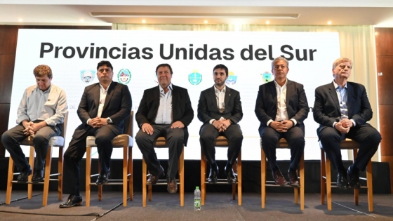 Vaca Muerta marca el rumbo: récord de producción petrolera en el primer trimestre de 2025