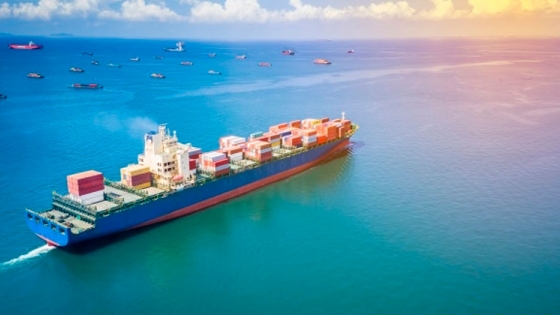Transporte marítimo: la OMI emitió una serie de recomendaciones para los gobiernos