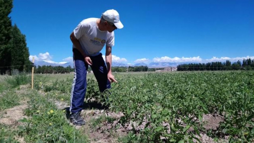 Estado presente, sanidad y seguridad alimentaria entre las montañas de San Juan