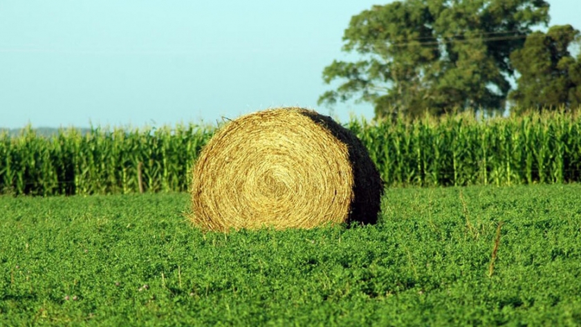 Se publicará la tercera capacitación virtual de Producción Agropecuaria