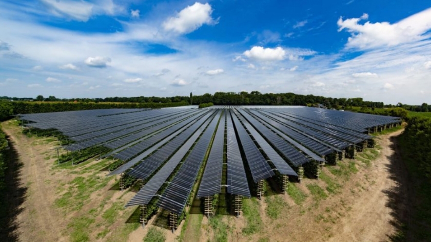 Paneles solares especiales para la "agrovoltaica"