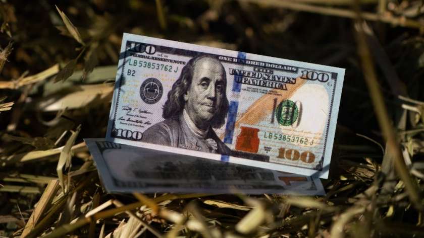 Economía agrícola argentina: perspectivas de exportación y oferta de divisas para 2024