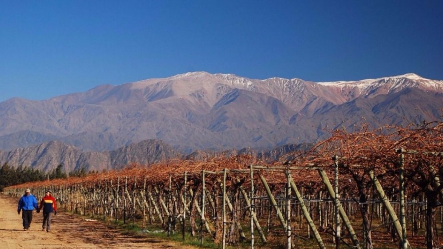 Chilecito impulsa su matriz productiva y consolida el enoturismo de altura en La Rioja