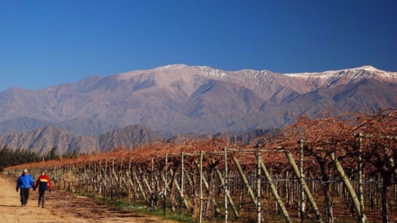 Chilecito impulsa su matriz productiva y consolida el enoturismo de altura en La Rioja