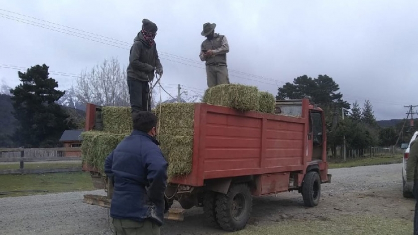 Río Negro continúa trabajando en la asistencia a productores